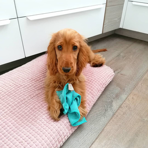 Kitchen cleaning towel